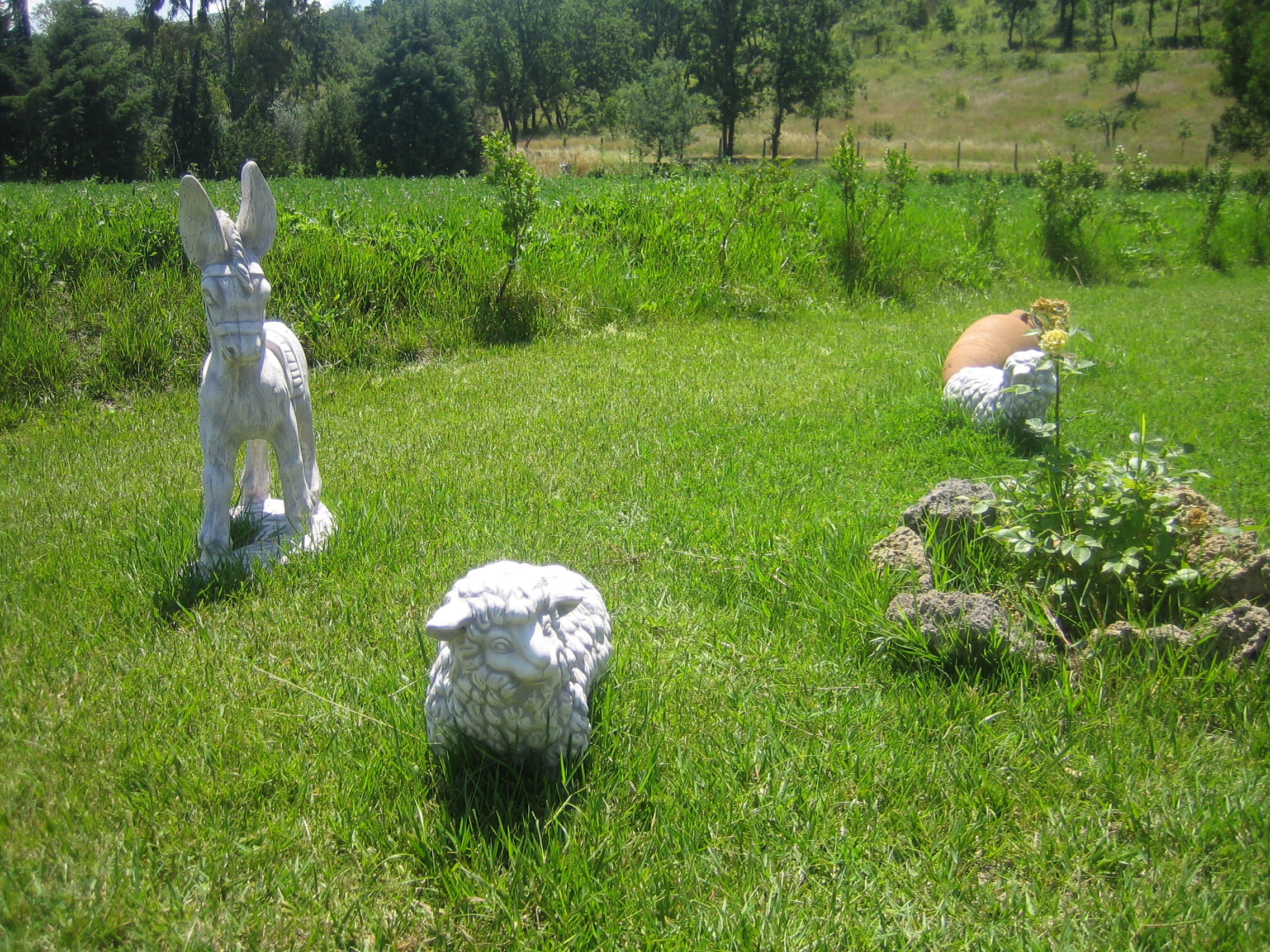 Agriturismo U'Cecere